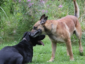 Earl und Kira